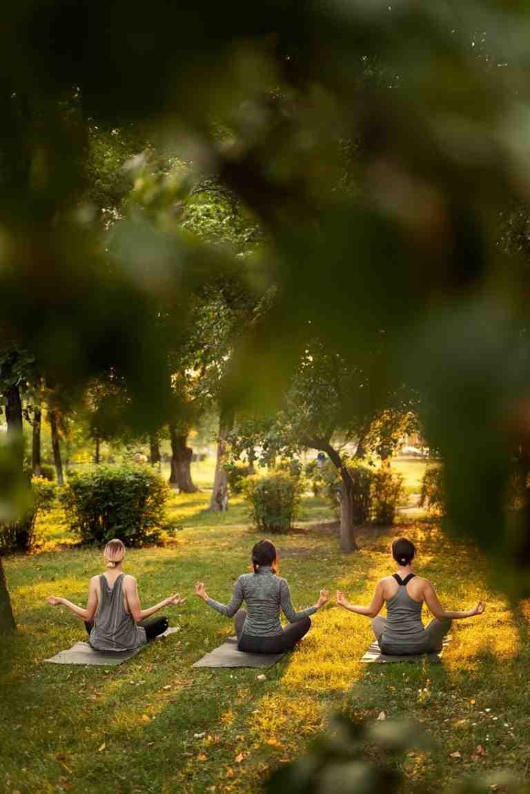Wellness
